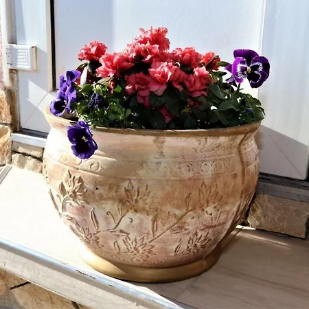 Relax House 度假居 索林