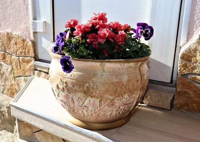 Relax House Semesterbostad Solin